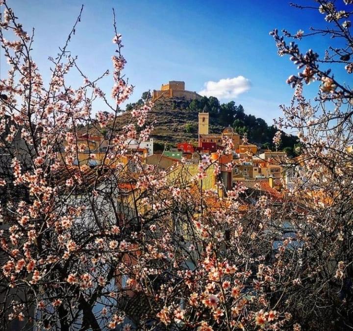 Aer Rural Apartment - Casillas Valle De Ayora Jalance 외부 사진