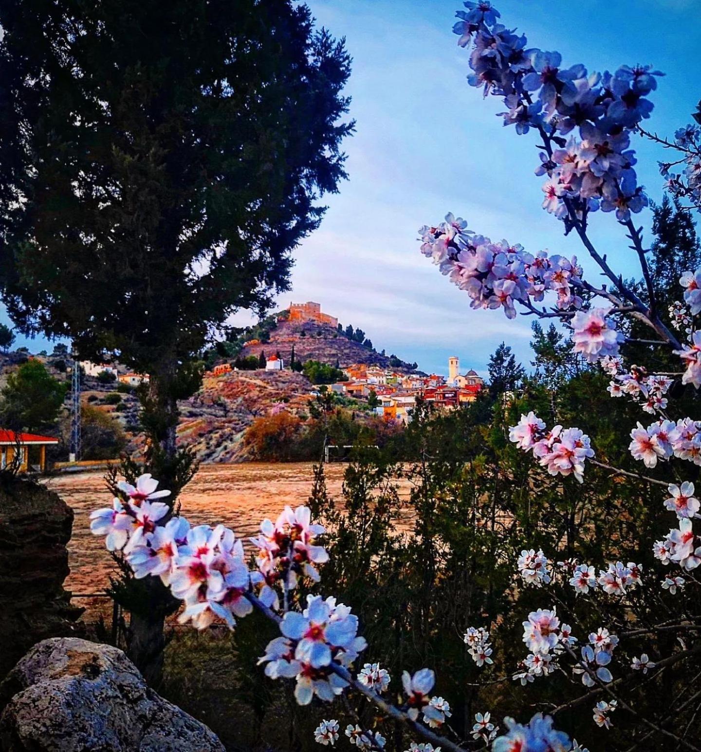 Aer Rural Apartment - Casillas Valle De Ayora Jalance 외부 사진